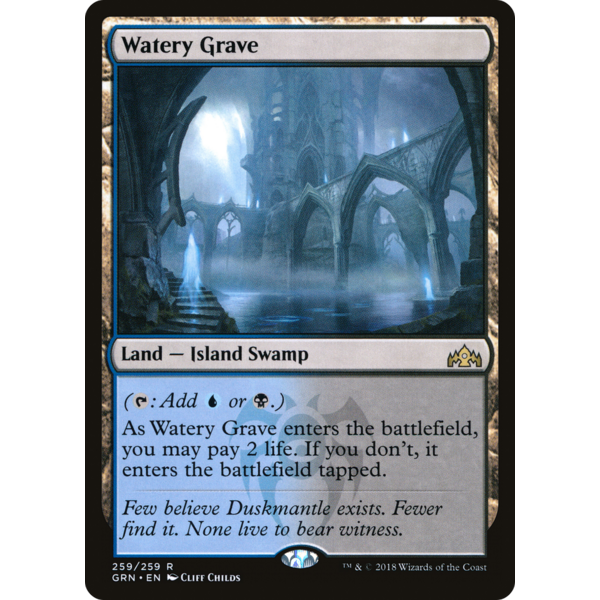 Magic: The Gathering Watery Grave (259) Lightly Played