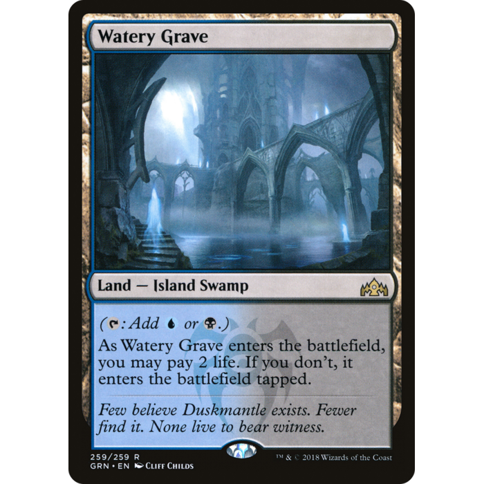 Magic: The Gathering Watery Grave (259) Lightly Played