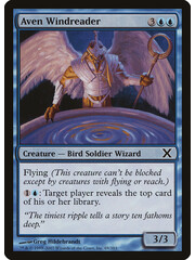 Magic: The Gathering Aven Windreader (069) Lightly Played