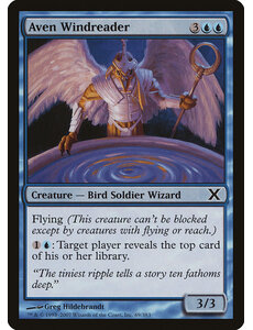 Magic: The Gathering Aven Windreader (069) Lightly Played