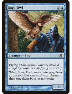 Magic: The Gathering Sage Owl (104) Lightly Played