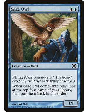 Magic: The Gathering Sage Owl (104) Lightly Played