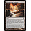 Magic: The Gathering Terramorphic Expanse (360) Moderately Played