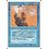 Magic: The Gathering Animate Artifact (049) Moderately Played