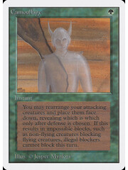 Magic: The Gathering Camouflage (188) Damaged