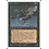 Magic: The Gathering Frozen Shade (110) Moderately Played