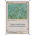 Magic: The Gathering Green Ward (021) Moderately Played