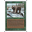 Magic: The Gathering Grizzly Bears (200) Moderately Played