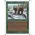 Magic: The Gathering Grizzly Bears (200) Moderately Played