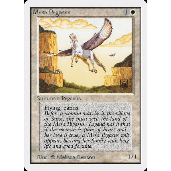 Magic: The Gathering Mesa Pegasus (029) Moderately Played