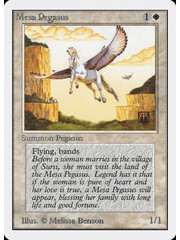 Magic: The Gathering Mesa Pegasus (029) Damaged