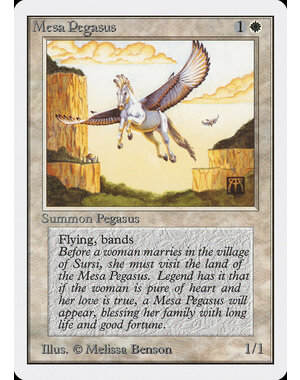 Magic: The Gathering Mesa Pegasus (029) Damaged