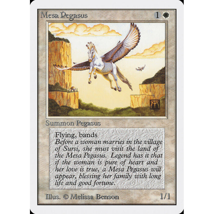 Magic: The Gathering Mesa Pegasus (029) Damaged