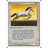 Magic: The Gathering Pearled Unicorn (031) Heavily Played