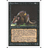 Magic: The Gathering Plague Rats (122) Moderately Played