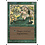Magic: The Gathering Regeneration (214) Heavily Played