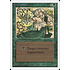 Magic: The Gathering Regeneration (214) Heavily Played
