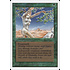 Magic: The Gathering Shanodin Dryads (217) Moderately Played