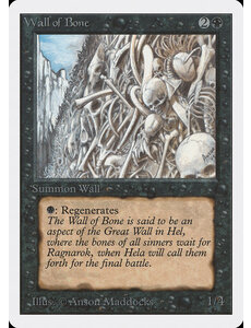 Magic: The Gathering Wall of Bone (133) Moderately Played