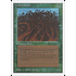 Magic: The Gathering Wall of Wood (226) Moderately Played