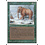 Magic: The Gathering War Mammoth (228) Damaged