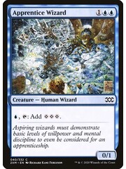 Magic: The Gathering Apprentice Wizard (040) Lightly Played