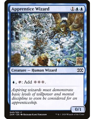 Magic: The Gathering Apprentice Wizard (040) Lightly Played