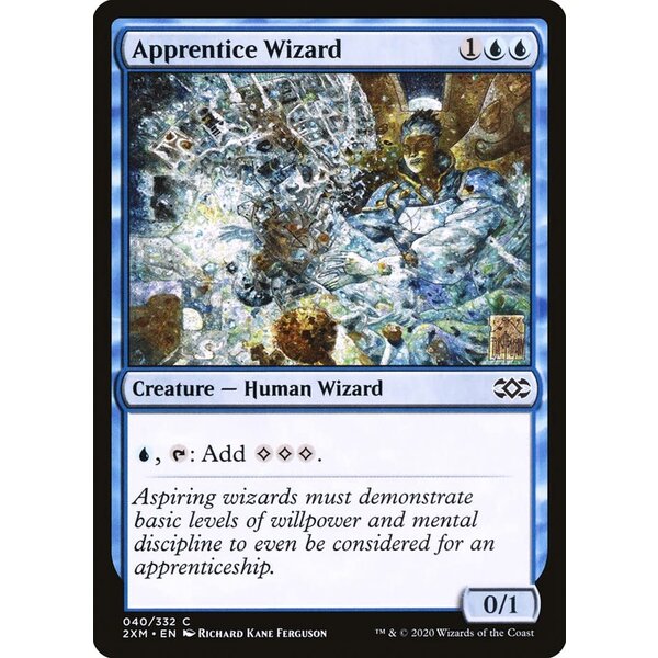 Magic: The Gathering Apprentice Wizard (040) Lightly Played