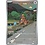 Pokemon Kangaskhan (204) Lightly Played Holofoil
