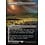Magic: The Gathering Marsh Flats (Borderless) (110) Near Mint