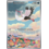 Pokemon Bombirdier (219) Lightly Played Holofoil