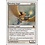 Magic: The Gathering Blinding Angel (008) Lightly Played