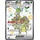 Pokemon Espathra ex (214) Lightly Played Holofoil