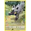 Pokemon Poochyena (GG33) Lightly Played Holofoil