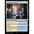 Magic: The Gathering Meticulous Archive (264) Lightly Played