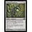 Magic: The Gathering Grafted Exoskeleton (162) Lightly Played Foil