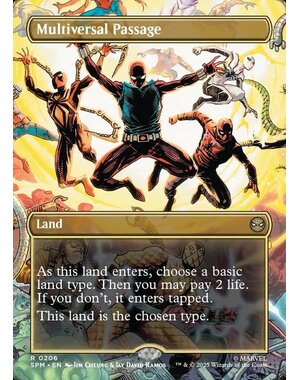 Magic: The Gathering Multiversal Passage (Borderless) (206) Lightly Played Foil