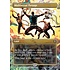 Magic: The Gathering Multiversal Passage (Borderless) (206) Lightly Played Foil