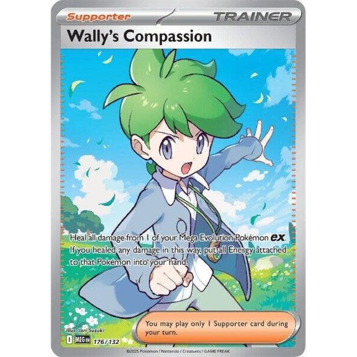 Pokemon Wally's Compassion (176) Lightly Played Holofoil