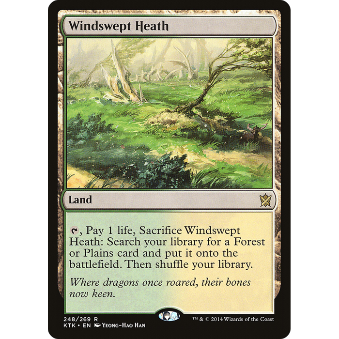Magic: The Gathering Windswept Heath (248) Lightly Played