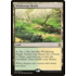 Magic: The Gathering Windswept Heath (248) Lightly Played