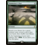 Magic: The Gathering Summoner's Pact (234) Lightly Played