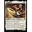 Magic: The Gathering Astrid Peth (011) Lightly Played Foil