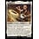 Magic: The Gathering Astrid Peth (011) Lightly Played Foil