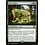 Magic: The Gathering Bear Umbra (113) Lightly Played