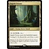 Magic: The Gathering Zagoth Triome (259) Lightly Played