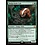 Magic: The Gathering Badgermole Cub (167) Lightly Played
