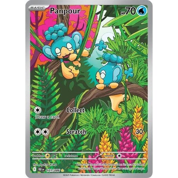 Pokemon Panpour (101) Lightly Played