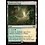 Magic: The Gathering Hushwood Verge (261) Lightly Played
