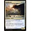 Magic: The Gathering Soulherder (214) Lightly Played